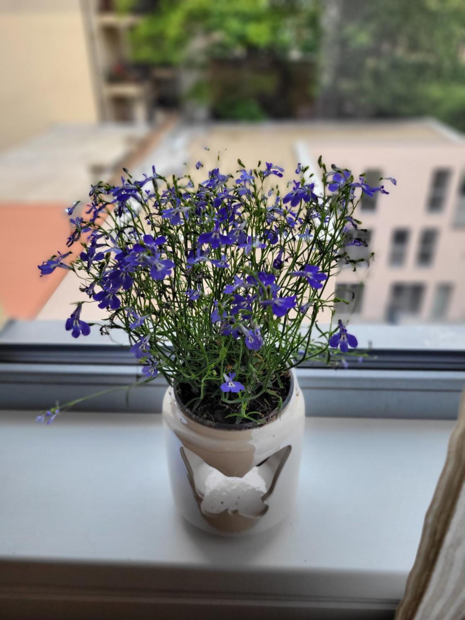 Apartmán Klidne Misto Pro Tebe Praha